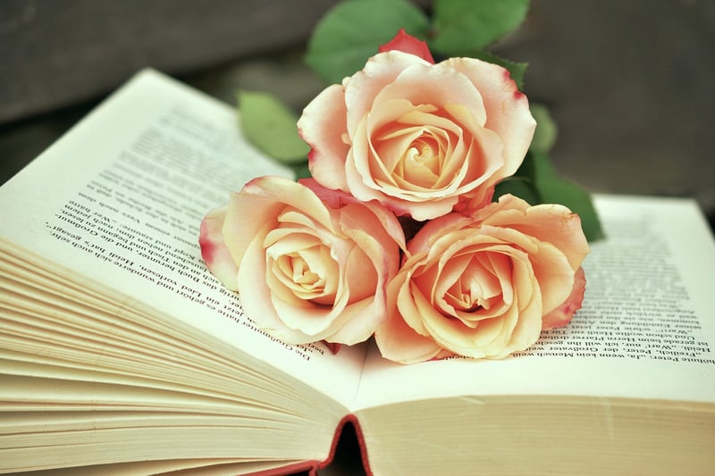 Fantasy Book